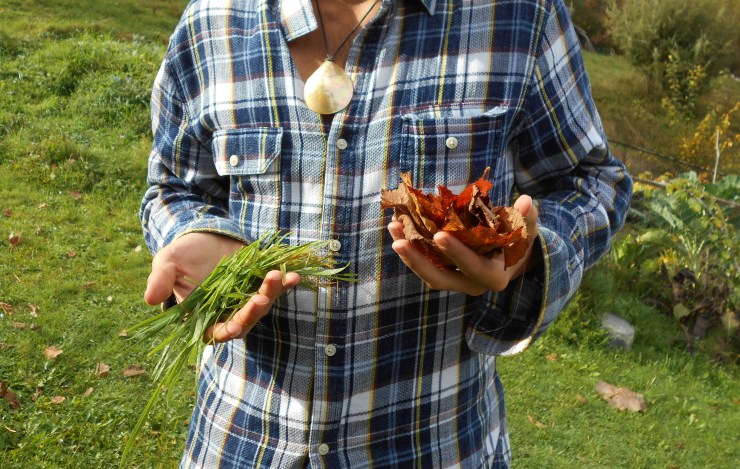 Mulchologie Teil 3: Das C/N-Verhältnis. Wie schnell verrottet etwas?