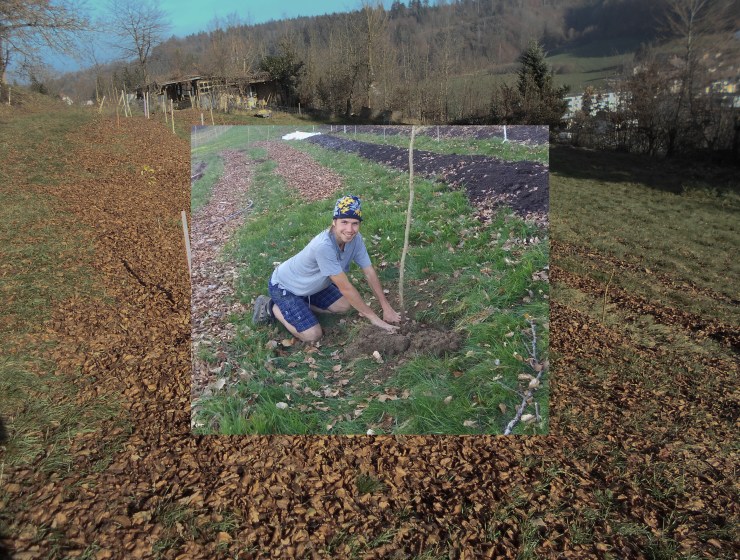 Was ich in der Krise tue….